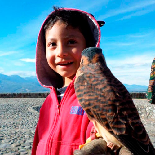 parque-condor